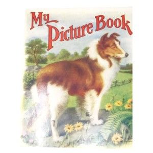 Vintage 1914 "My Picture Book" #606 Sam Gabriel Son's & Co. N.Y.